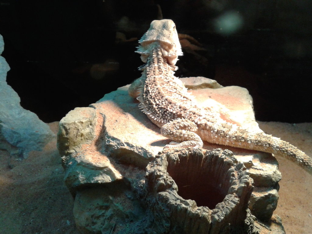 Foto 65